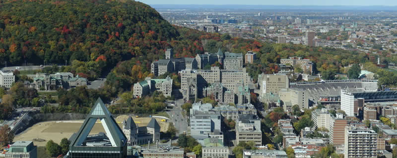 vivre-investir-ville-marie-montreal-immobilier-luxe-quebec
